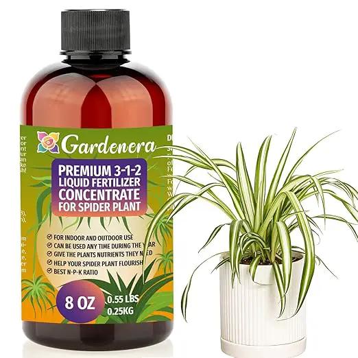 Premium Liquid Spider Plant Fertilizer - 3-1-2 Concentrate for Indoor Plants and Flowers by Gardenera | Organic Plant Food for Spider Plants - 8oz by GreenHaven Gardens