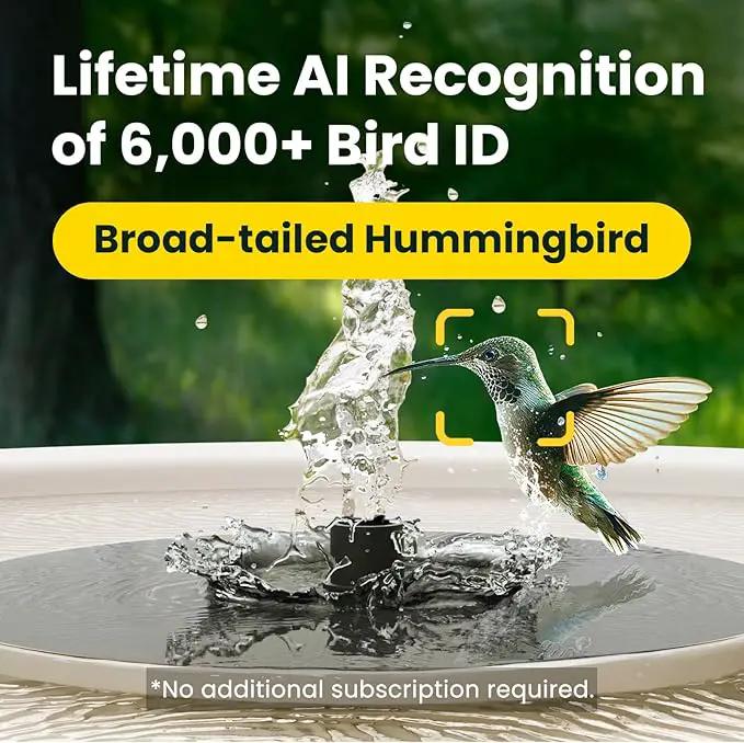 Birdfy Smart Bird Bath with Camera Solar Powered & Fountain, Dual-Lens Camera for Wildbird Watching, Auto Capture Bird Videos & Motion Detection - AI Lifetime Version (Yellowstone) by GreenHaven Gardens