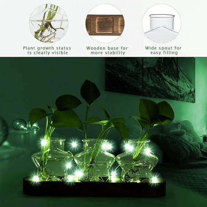 XXXFLOWER Plant Propagation Station with Wooden Stand，Air Plant Terrarium Starter Kits Star Vases for Flowers Plant Cutting Rooting Pots Indoor Hydroponic Glass Planter for Plant Lovers,3 Jars by GreenHaven Gardens