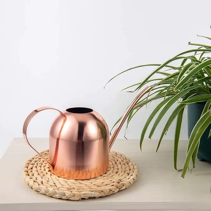 IMEEA Indoor Watering Can for House Plants 33oz/1L Stainless Steel Watering Can with Long Spout (Rose Gold) by GreenHaven Gardens