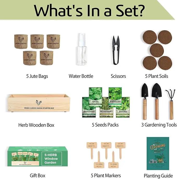 5 Herb Seeds Garden Starter Kit with Complete Planting Kit & Wooden Flower Box, Growing into Basil, Parsley, Rosemary, Thyme, Mint for Kitchen Windowsill Herb Garden DIY by GreenHaven Gardens