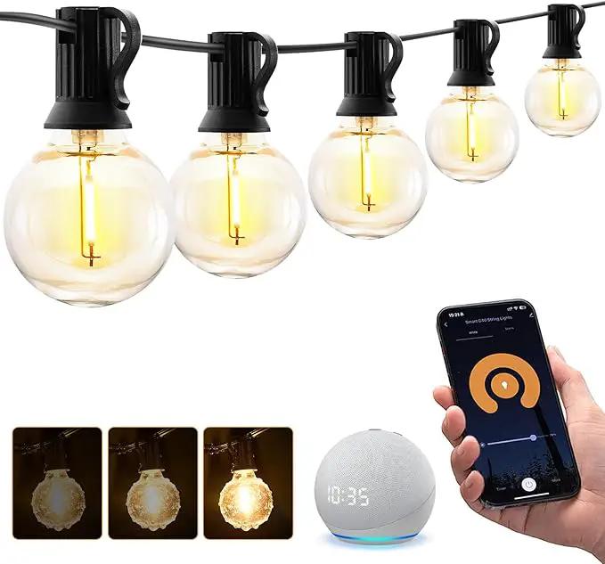 XMCOSY+ Smart Outdoor String Lights, 75Ft G40 Globe Patio Lights with 34 Dimmable LED Bulbs, WiFi & APP Control, Work with Alexa, Extendable Waterproof LED String Lights for Outside, Porch, Backyard by GreenHaven Gardens