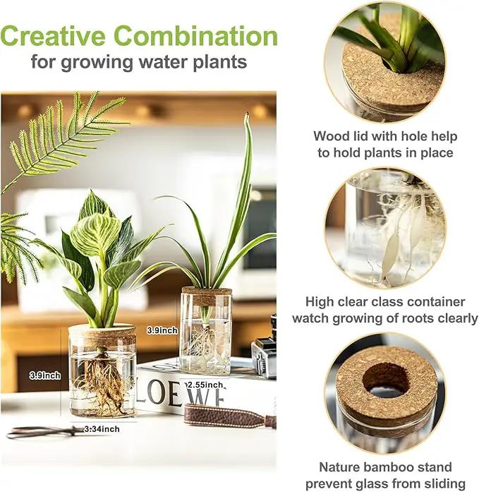 Glass Plant Propagation Stations for Plants – Set of 4(4 Large & 4 Small) Hydroponic Vases for Plant Cuttings,Flower Arrangements, Home & Office Decor–Desktop Vases for Living Room, Bedroom (8) by GreenHaven Gardens