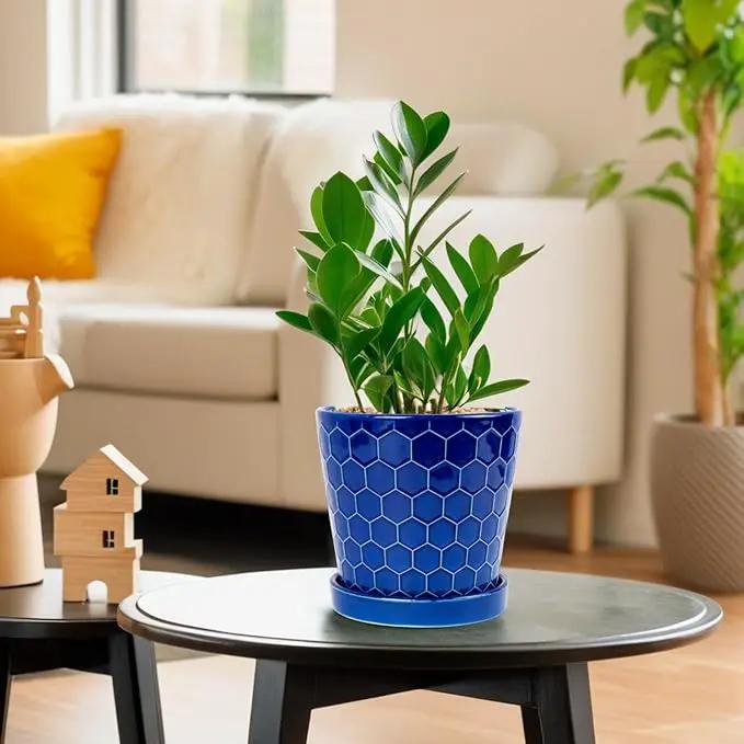 BUYMAX Plant Pots Indoor –6 inch Ceramic Flower Pot with Drainage Hole and Ceramic Tray - Gardening Home Desktop Office Windowsill Decoration Gift, Set of 2(Royal Blue) by GreenHaven Gardens