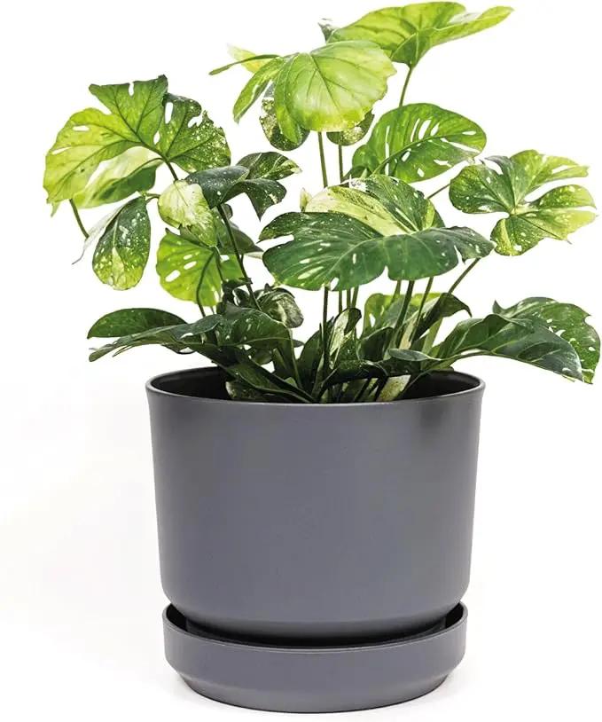 Elly Décor 8 inch Plastic Cylinder Planter Pot with Self-Watering Saucer and Drainage Hole,Lightweight & Extremely Durable, 8"x 8", Gray by GreenHaven Gardens