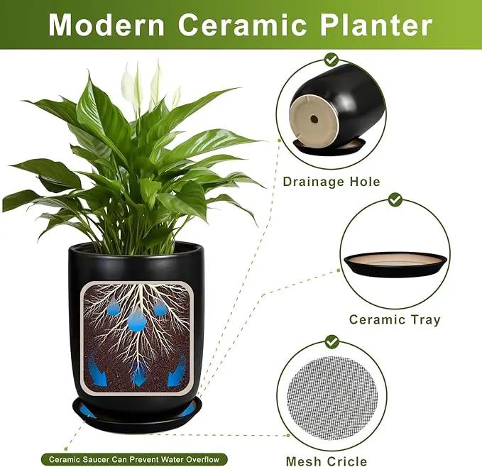 Ceramic Planter 8 Inch - Plant Pot for Indoor Outdoor Plants Cylinder Flower Pot with Drainage Hole and Saucer Black by GreenHaven Gardens