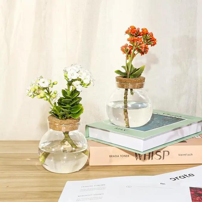 Plant Propagation Station,Hydroponic Terrarium Vase,Desktop Glass Planter Station,for Houses,Garden Decorations,ropagating Hydroponic Plants,Centerpiece Office,Home Garden Decor (2) by GreenHaven Gardens