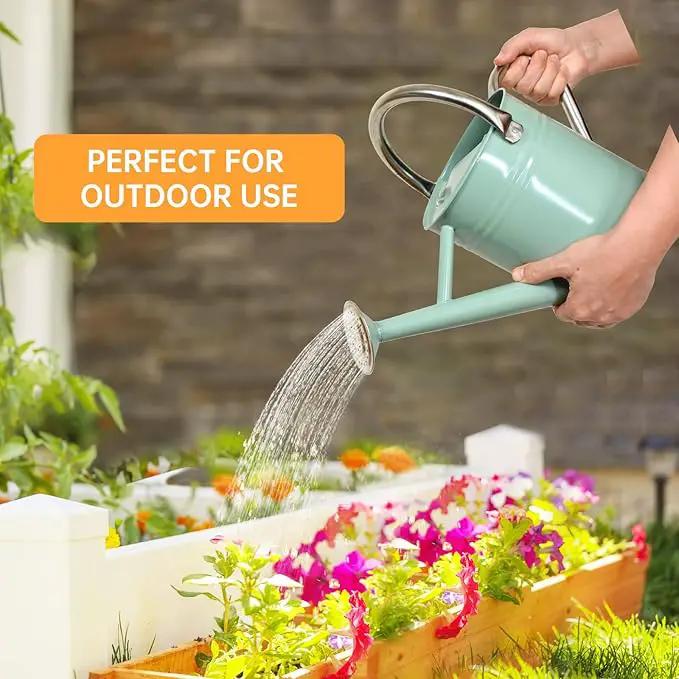 Metal Watering Can for Outdoor Plants, Galvanized Steel Watering Can with Removable spout, 1 Gallon,Perfect Home & Garden Décor Cream Green by GreenHaven Gardens