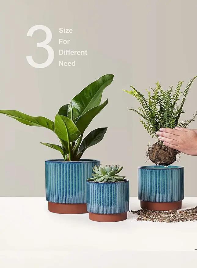 LE TAUCI Ceramic Plant Pots with Drainage Holes, Set of 3, 8+6.7+5.5 Inch Stripe Garden Planter Pots for Outdoor Indoor Plants Flower, Round Succulent Orchid Flower Pot, Reactive Glaze Green by GreenHaven Gardens