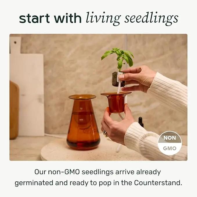 Counterstand Set – Vase Plant for Indoor Edible Garden Kit for Herbs & Lettuce – Small-Space Hydroponic System – Home Decor & Gifting – Without Live Plants by GreenHaven Gardens