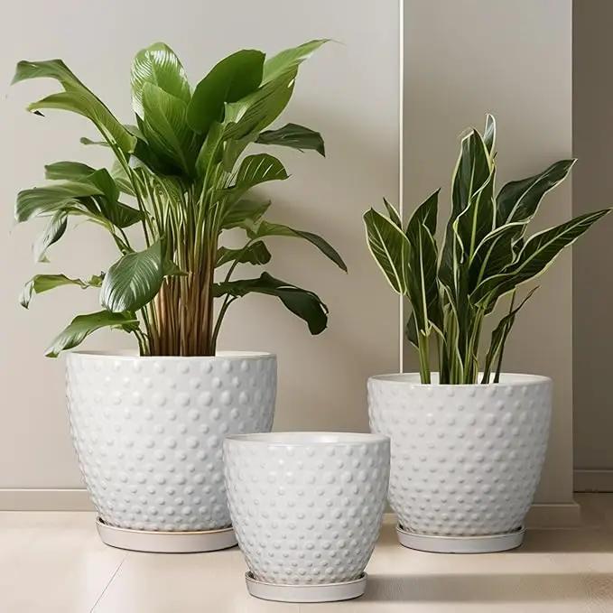 G EPGardening 8 Inch Plant Pot for Indoor Outdoor Plants Round Ceramic Planter Pot with Drainage Hole and Saucer Modern Large Flower Pot White by GreenHaven Gardens