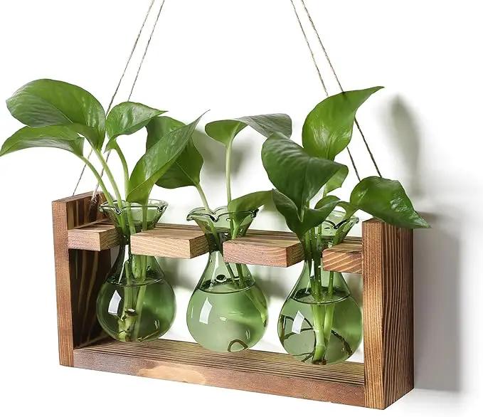 Plant Propagation Station Plant Terrarium Unique Birthday Gifts for Women Plant Lovers Home Office Decor Planter with Wooden Stand - 3 Bulb Glass Vase by GreenHaven Gardens