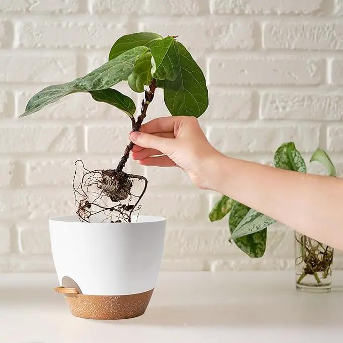 White Self Watering Pots with Drainage Planting Pot for HousePlants Plastic Flower Pots Outdoor Plant Pots Gift Idea Decorative Flower Pots Draining Pots for Indoor Plants by GreenHaven Gardens