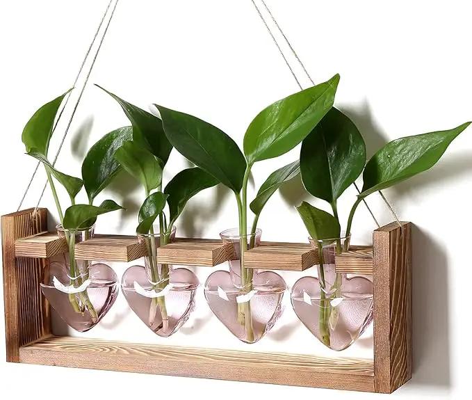 Plant Propagation Stations Heart Plant Terrarium Kit Gift for Women Plant Lover Glass Vases by GreenHaven Gardens