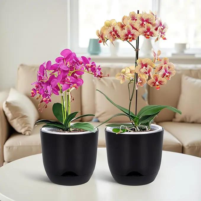 QCQHDU 2 Pack Orchid Pots with Holes for Repotting, Double-Layer and Self Watering Orchid Pot with Good Air Circulation by GreenHaven Gardens