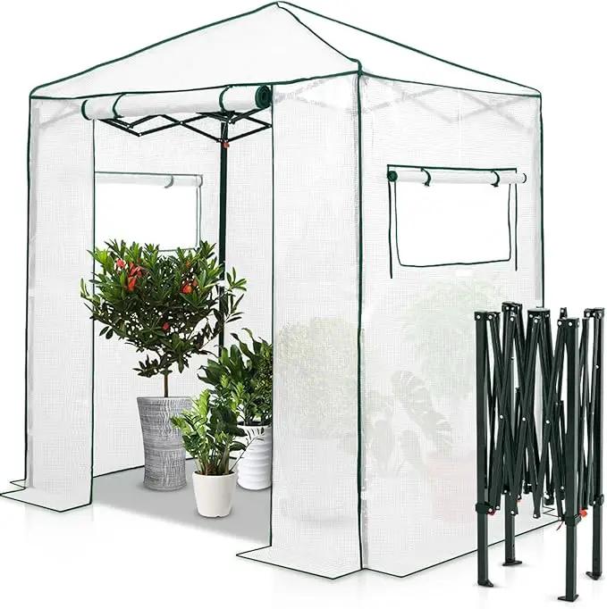 EAGLE PEAK 6x4 Portable Walk-in Greenhouse, Pop-up Indoor Outdoor Garden Green House, Zippered Door and Windows, PE Cover, White by GreenHaven Gardens