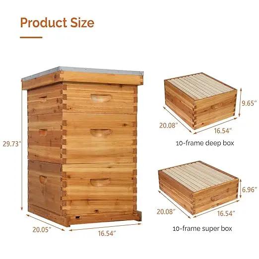 VINGLI 10-Frame Bee Hive, Wax Coated Beehive Starter Kit with Frames & Beeswax Coated Foundation Sheets (3 Layer) by GreenHaven Gardens