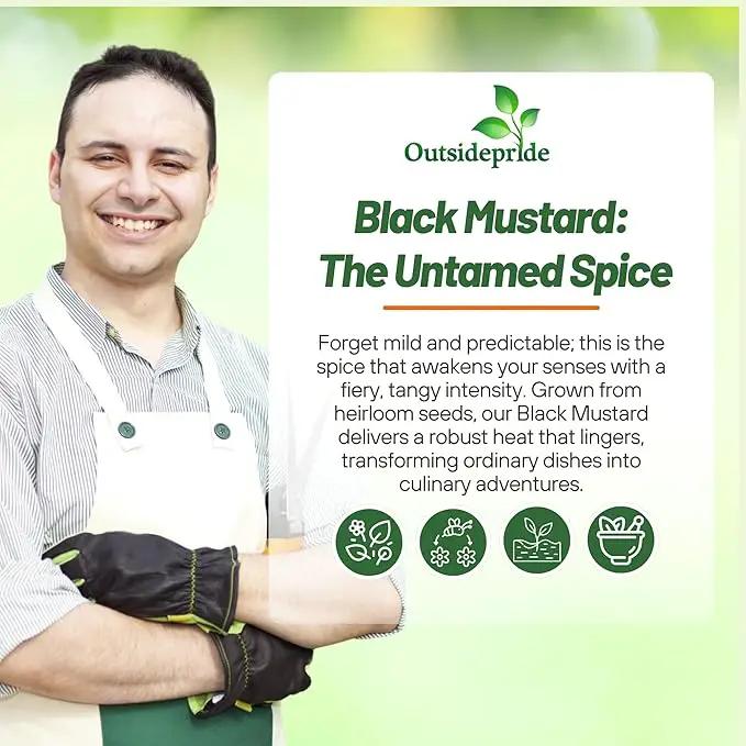 Outsidepride Black Mustard Seeds - 5000 Pcs Nutrient-Rich, Flavorful Annual Microgreen Seeds for Planting, Easy-to-Grow, Ideal for Indoor & Outdoor Cultivation, Soil & Hydroponic Systems by GreenHaven Gardens