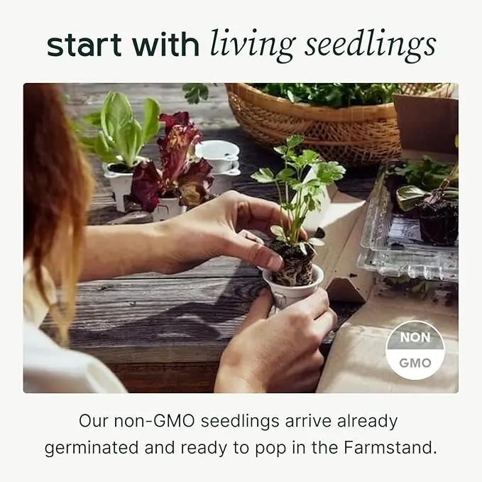 Farmstand Starter Kit with Glow Rings and 12 Seedling Credits | Tiny Hydroponic Growing System Kit | Vertical Garden Planter Tower | 3ft 8in Tall by GreenHaven Gardens