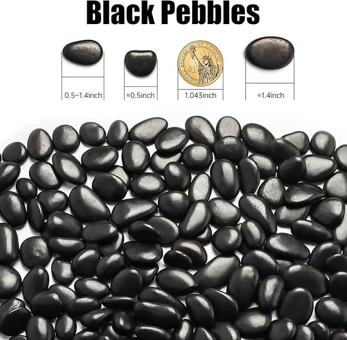 River Rocks 5 Lb, Pebbles for Indoor Plants 0.5"-1.4", Black Rocks for Outdoor Landscaping, Decorative Stones Vase Filler, Fish Tank, Fountain, Succulents, Flower Bed, Black by GreenHaven Gardens