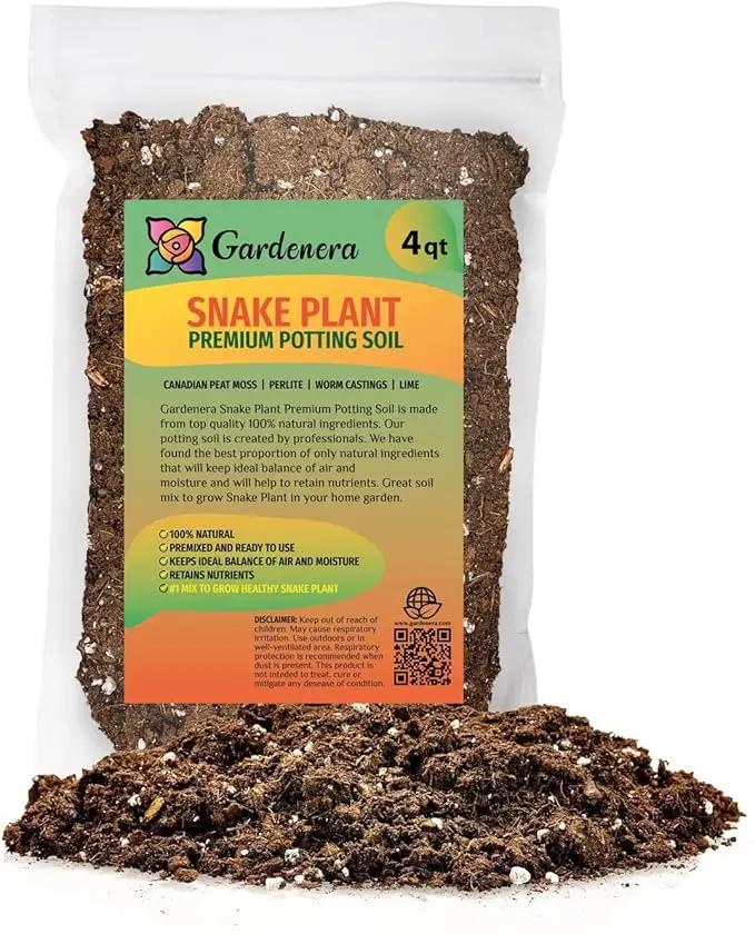 Premium Snake Plant Potting Soil Mix, Green Sansevieria Trifascatia Zeylanica Plants, Plant or Re-Pot Your Snake Plant - (4 Quart Bag) by GreenHaven Gardens