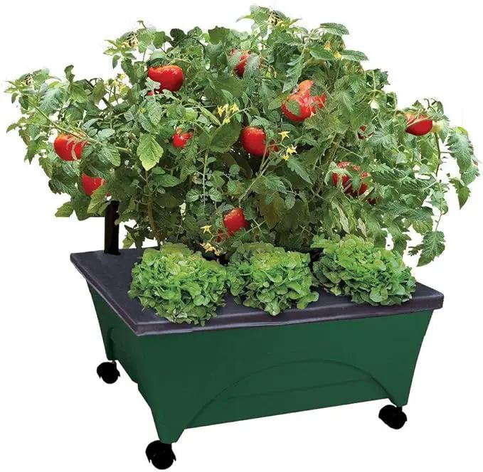 Emsco Group 2341-1HD City Picker Raised Bed Self Watering and Improved Aeration – Mobile Unit with Casters-Hunter Green Grow Box and Seed Starter by GreenHaven Gardens