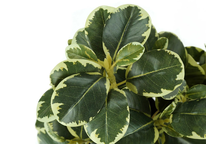 14" Tall, Artificial Plant, Ficus, Indoor, Faux, Fake, Table, Greenery, Potted, Decorative (Set of 2) - Green / Black by Unique Piece Furniture
