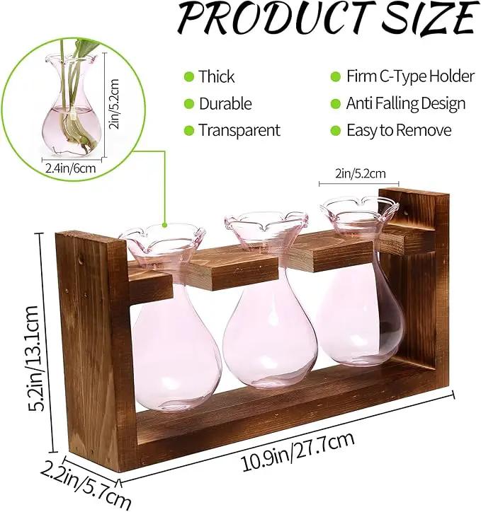 Plant Propagation Station Plant Terrarium Unique Birthday Gifts for Women Plant Lovers Home Office Decor Planter with Wooden Stand - 3 Bulb Glass Vase by GreenHaven Gardens