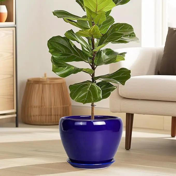 Ceramic Plant Pot 8 Inch - Planter for Outdoor Plants Indoor Plant Pot with Drainage Hole and Saucer Decorative Round Planter Modern Flower Pot for House Decor Blue by GreenHaven Gardens