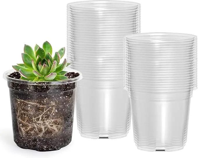 60 Packs 3.5 Inch Reinforced Clear Nursery Pots with Drainage Hole, Transparent Variety Pack Plastic Plant Pot Seedling Planter Seed Starter Flower by GreenHaven Gardens