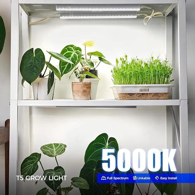Barrina Grow Lights for Indoor Plants, 5000K White Full Spectrum Grow Light, 1ft Plant Growing Lamp, T5 Grow Light Strip, Plug and Play, 4-Pack by GreenHaven Gardens