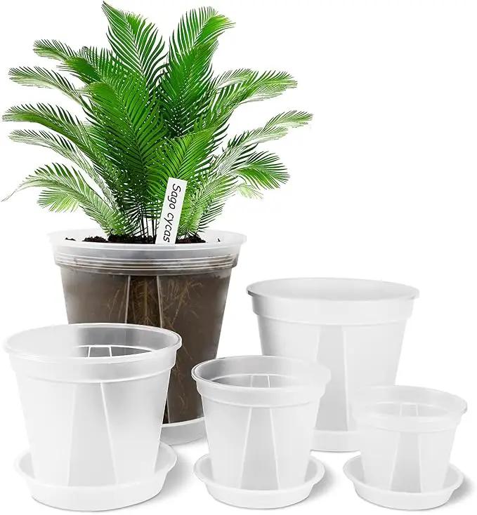 GREENPARA Transparent Plastic Garden Pots Planter with Saucer 4/5 /6/7 /8 inch Plant Pot Nursery Pots Drainage Hole for House Plants, Herb, Flowers, and Cactus with 10pcs Plant Labels, 5-Set by GreenHaven Gardens