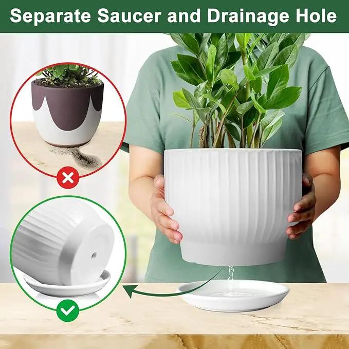 8 Inch Plant Pot,Ceramic Planter with Drainage and Saucer,Ceramic Pots for Plants,Indoor Plant pots,Ceramic Flower pots(Pure White, Plants NOT Included) by GreenHaven Gardens