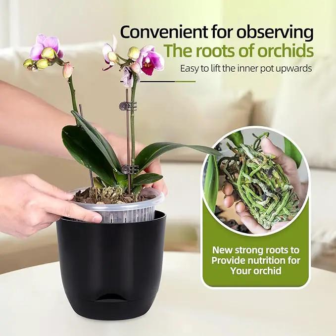 QCQHDU 2 Pack Orchid Pots with Holes for Repotting, Double-Layer and Self Watering Orchid Pot with Good Air Circulation by GreenHaven Gardens