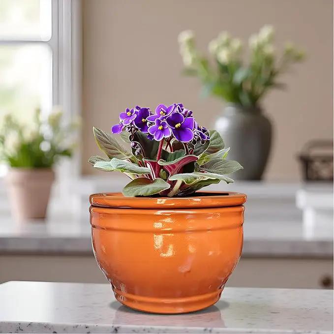 African Violet Pots Self Watering Round Ceramic Violet Pot (Orange, 6 inch) by GreenHaven Gardens