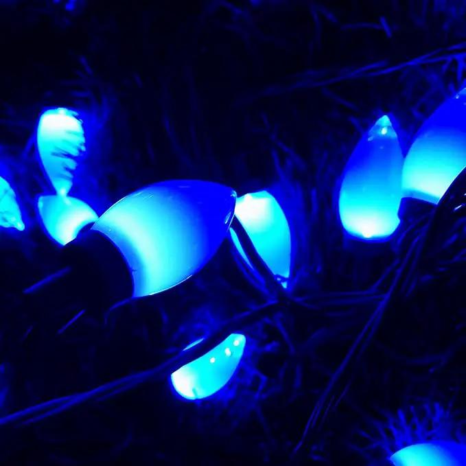 C9 Christmas Lights Outdoor 50 LED Blue Strawberry Waterproof String Lights Xmas Tree Indoor Decoration Plug in 34.5 Feet Used for Home Festive Courtyard Patio Garden(Blue) by GreenHaven Gardens