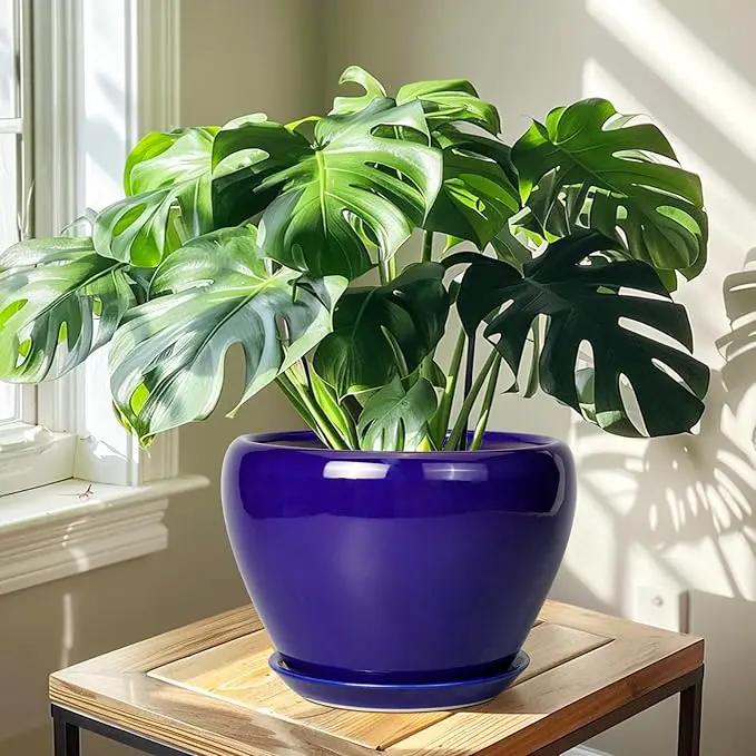 Ceramic Planter 10 Inch - Indoor Plant Pot for Plants with Drainage Hole and Saucer Large Planter Round Outdoor Flower Pot Mid-Century for House Patio Decor Blue by GreenHaven Gardens