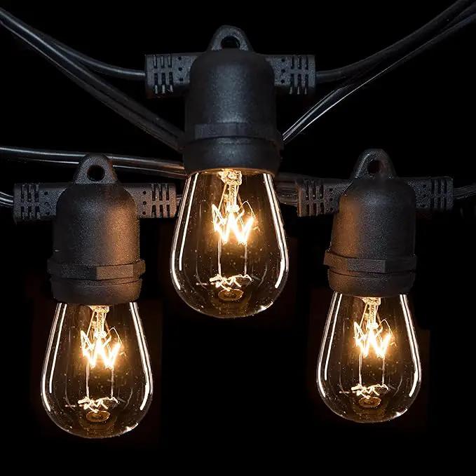 Hometown Evolution, Inc. Commercial E26 String Lights with 16 Gauge Wire (50 Foot 25 Socket, S14 11 Watt Clear Bulb) by GreenHaven Gardens