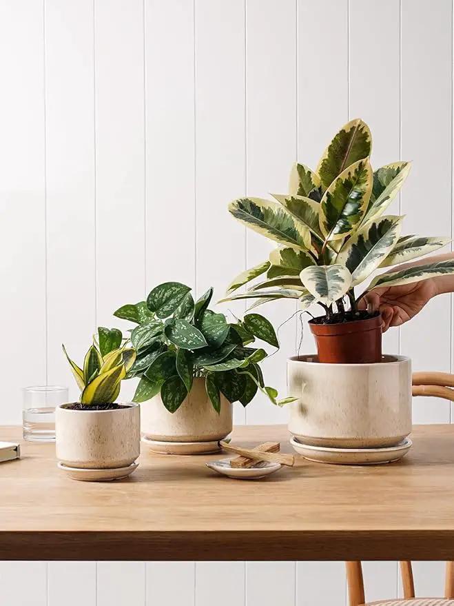 LE TAUCI Ceramic Plant Pots, 4.3+5.3+6.8 inch, Set of 3, Planters with Drainage Hole and Saucer, Indoor Flower Pot with Hole Mesh Pad, Gifts for Mom, Reactive Glaze Beige by GreenHaven Gardens