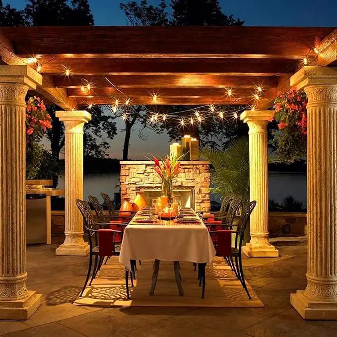 C7 Clear LED Christmas Lights, C7 Clear Christmas String Lights with 27 Clear LED Bulbs (Plus 2 Extra Bulbs) for Christmas Holiday Season Party Indoor&Outdoor Patio Backyard Decoration (25Ft, Clear) by GreenHaven Gardens