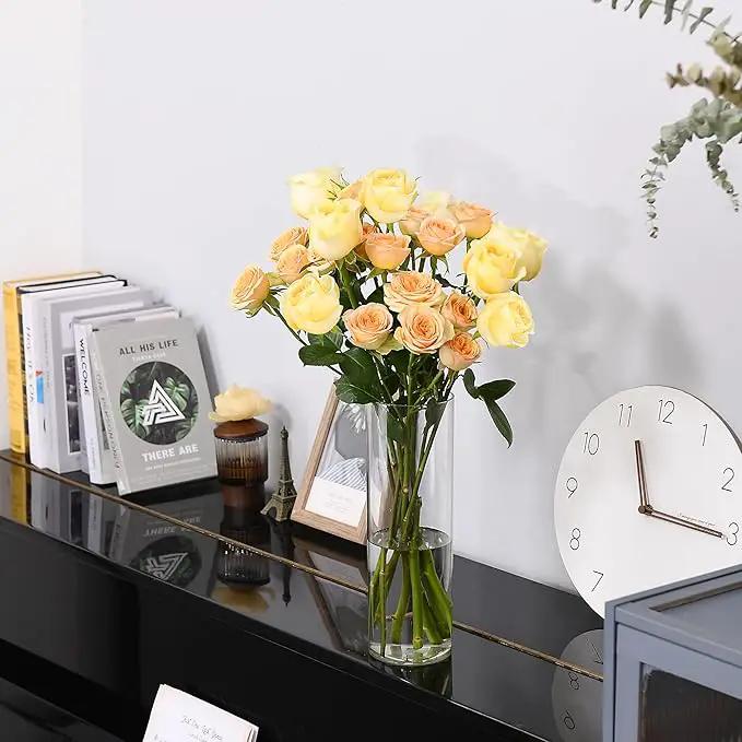 Clear Flower Vase, Non-breakable Vases, 5" W x 14" H, Acrylic Vase, Aesthetic Room Decor Cylindrical Modern Flower Vases for Table Centerpiece, Home Decor, Women Floral Arrangement Gift by GreenHaven Gardens