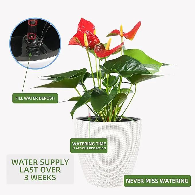 Dexceder 18x17 Inches Rattan Self Watering Planter Indoor Outdoor, Inner Pot Design, Thickened Table Flower Plant Pot with Water Level Indicator (Ivory White) by GreenHaven Gardens
