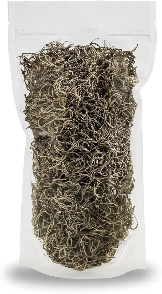 Premium Natural Spanish Moss | Natural Preserved - Great Ground Cover - Filler for Potted Plants - by GARDENERA - 4 Quart Bag by GreenHaven Gardens