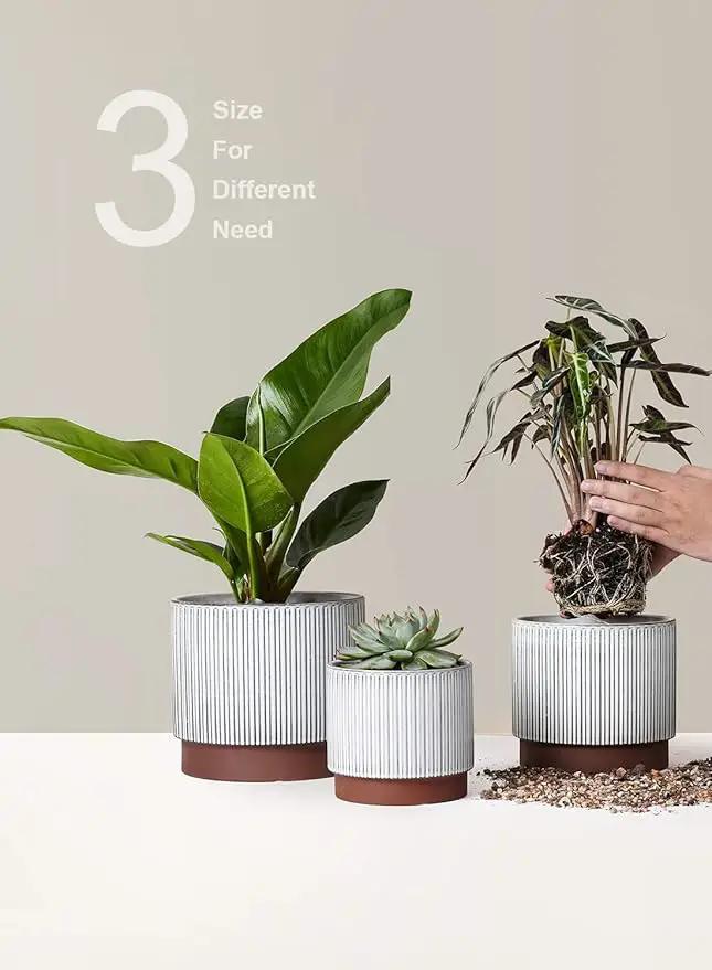 LE TAUCI Ceramic Pots for Plants, 8+6.7+5.5 Inch Plant Pots Indoor, Flower Pot with Drainage Holes, Medium Cylinder Planters for Indoor House Plants, Set of 3, Reactive Glaze White by GreenHaven Gardens