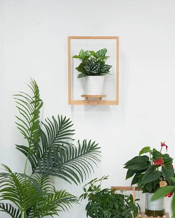 yadoker Wall Planters for Indoor Plants,Bamboo Hanging Plant Holders, Wall Decor Plant Stand, 2-Pack Window Plant Shelves for Living Room & Entryway by GreenHaven Gardens