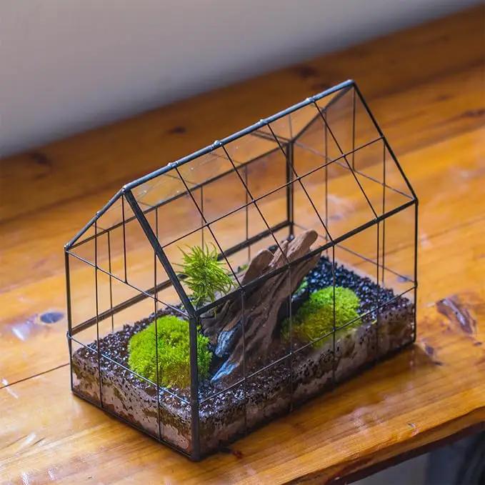 NCYP Geometric Glass Terrarium with Front Opening Door, House Shape Closed Micro Landscape Planter Box for Small Succulent, Cacti - Home Indoor Tabletop Decor, Handmade, Black (No Plants) by GreenHaven Gardens