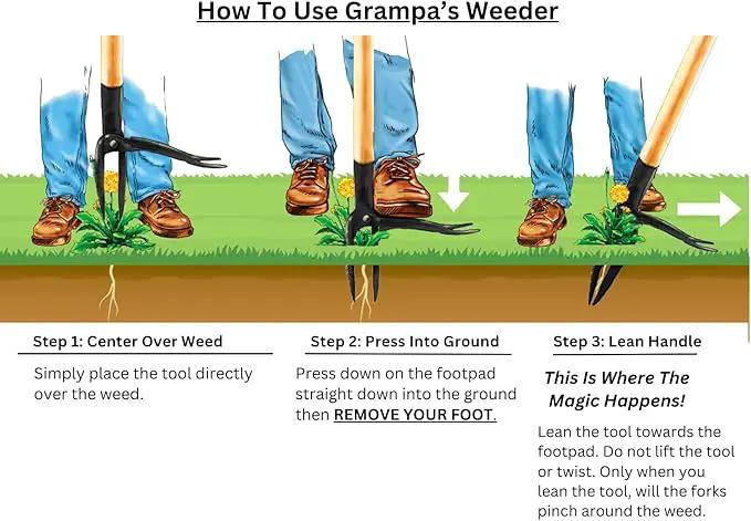 Grampa's Weeder - The Original Stand Up Weed Puller Tool with Long Handle - Made with Real Bamboo & 4-Claw Steel Head Design - Easily Remove Weeds Without Bending, Pulling, or Kneeling. by GreenHaven Gardens