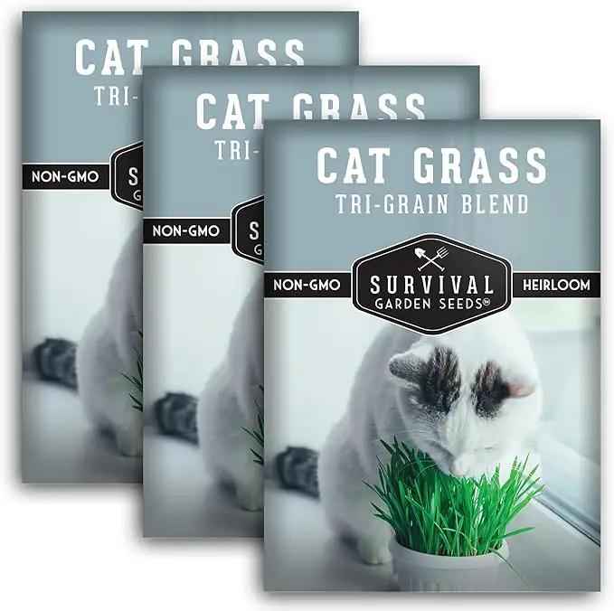 Cat Grass Seed for Planting - 3 Packets with Instructions to Plant & Grow Greens for Your Pet Indoors or Outdoors in a Container or Garden - Non-GMO Heirloom Variety - Survival Garden Seeds by GreenHaven Gardens