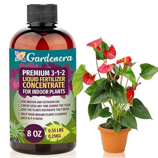 Premium 3-1-2 All Purpose Liquid Fertilizer Consentrate for All Indoor Plants & Flowers - Promotes Biomass Growth and Vibrant Leaf Color - 8oz Bottle by GreenHaven Gardens