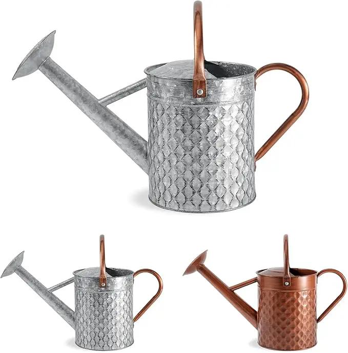 1 Gallon Metal Watering Can for Outdoor Indoor Plants, Galvanized Watering Can with Removable Spray Spout, Ideal for Garden Watering by GreenHaven Gardens